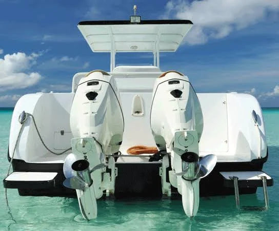 22 x 102 Boat Cover with Fixed T-Tops and Bow Rails B471958
