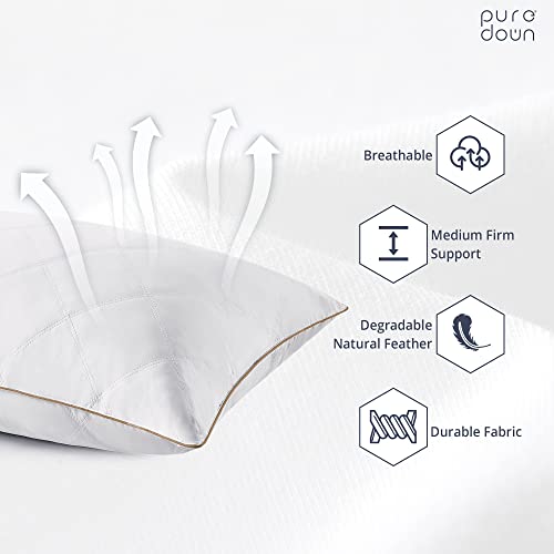 Goose Feathers and Down Pillow Set of 2 King Y9810