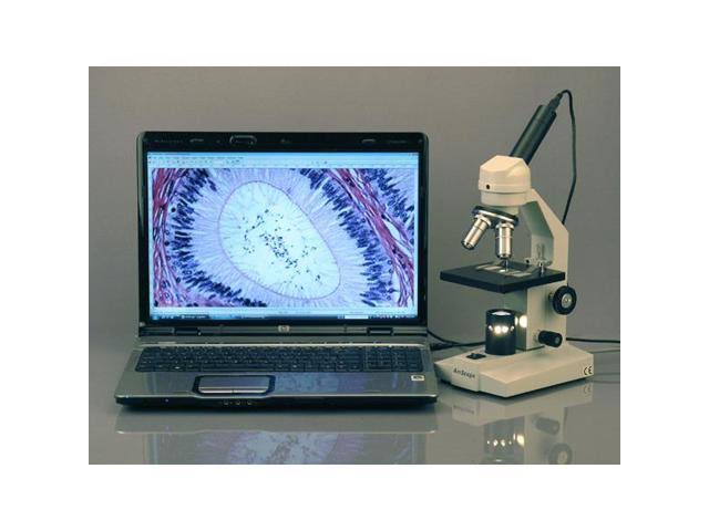40X-640X Student Compound Microscope with Mechanical Stage Z76786