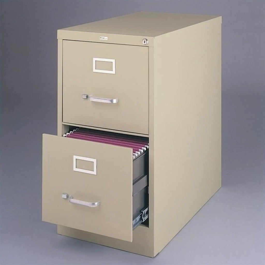 25x22 2-Drawer Letter Size Vertical File Cabinet H887283
