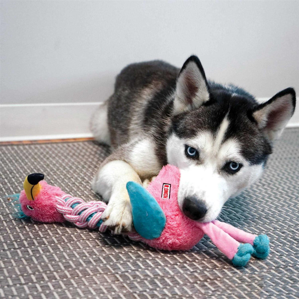 Dog Toy M80538