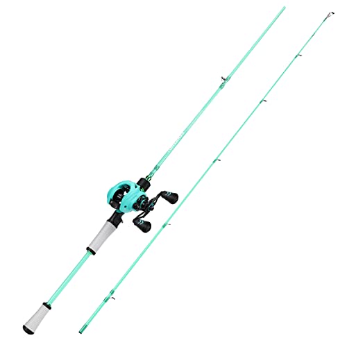 Spinning & Baitcasting Fishing Rod Reel Combo with Graphite Blanks, Stainless Steel Guides M19708