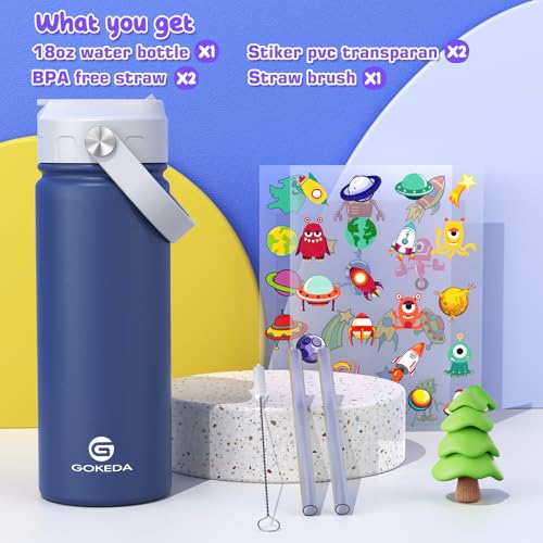 18oz Insulated Stainless Steel Kids Water Bottle with Stickers N138
