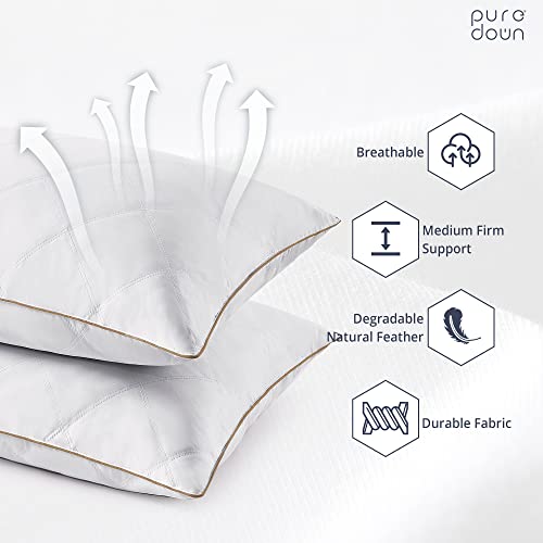Goose Feathers and Down Pillow Set of 2 King Y9810