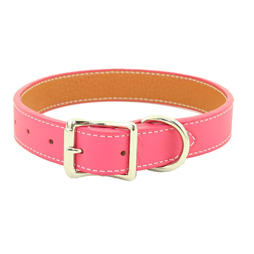 Black Leather Dog Collar T314
