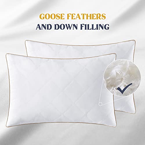 Goose Feathers and Down Pillow Set of 2 King Y9810