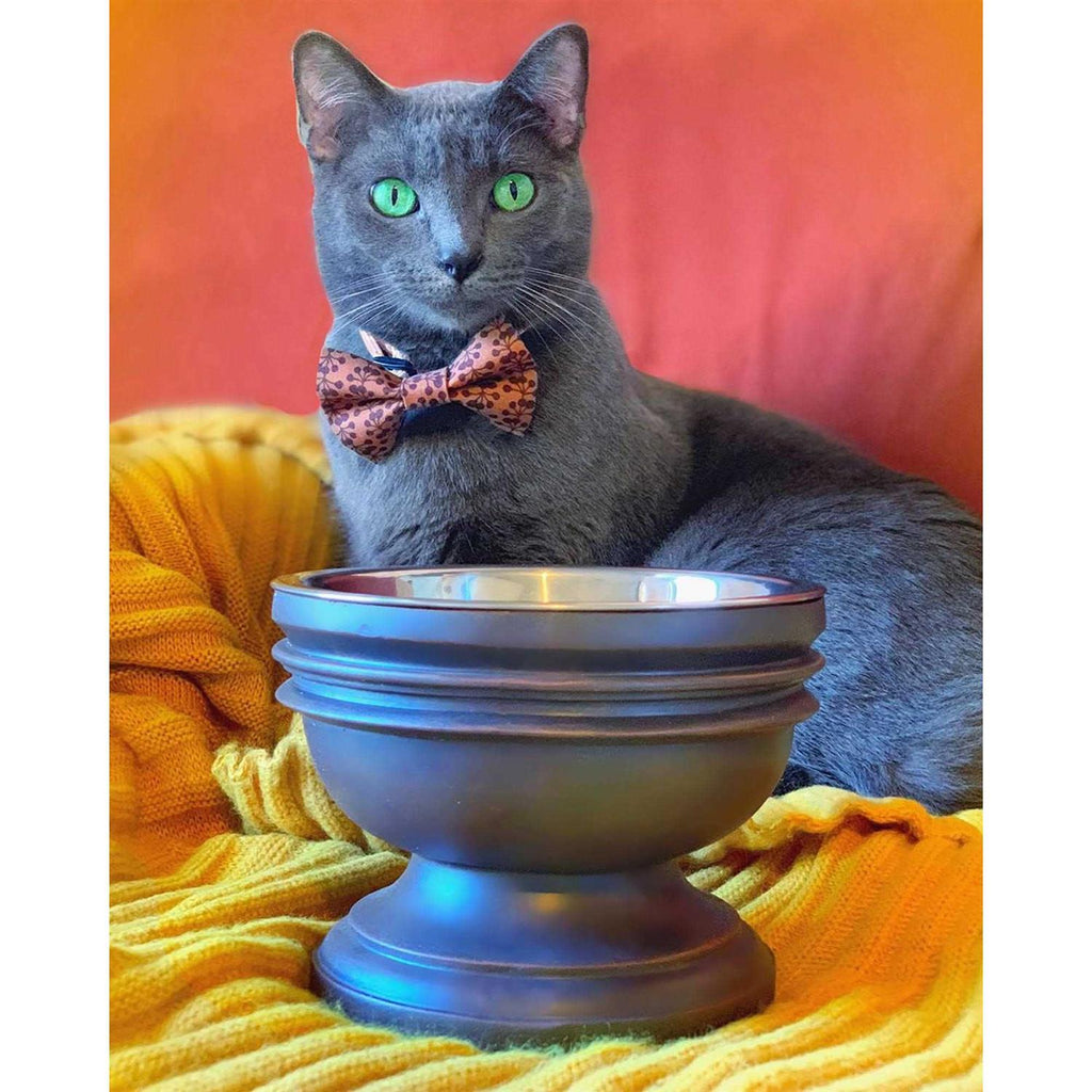 Elevated Dog Bowl K222599