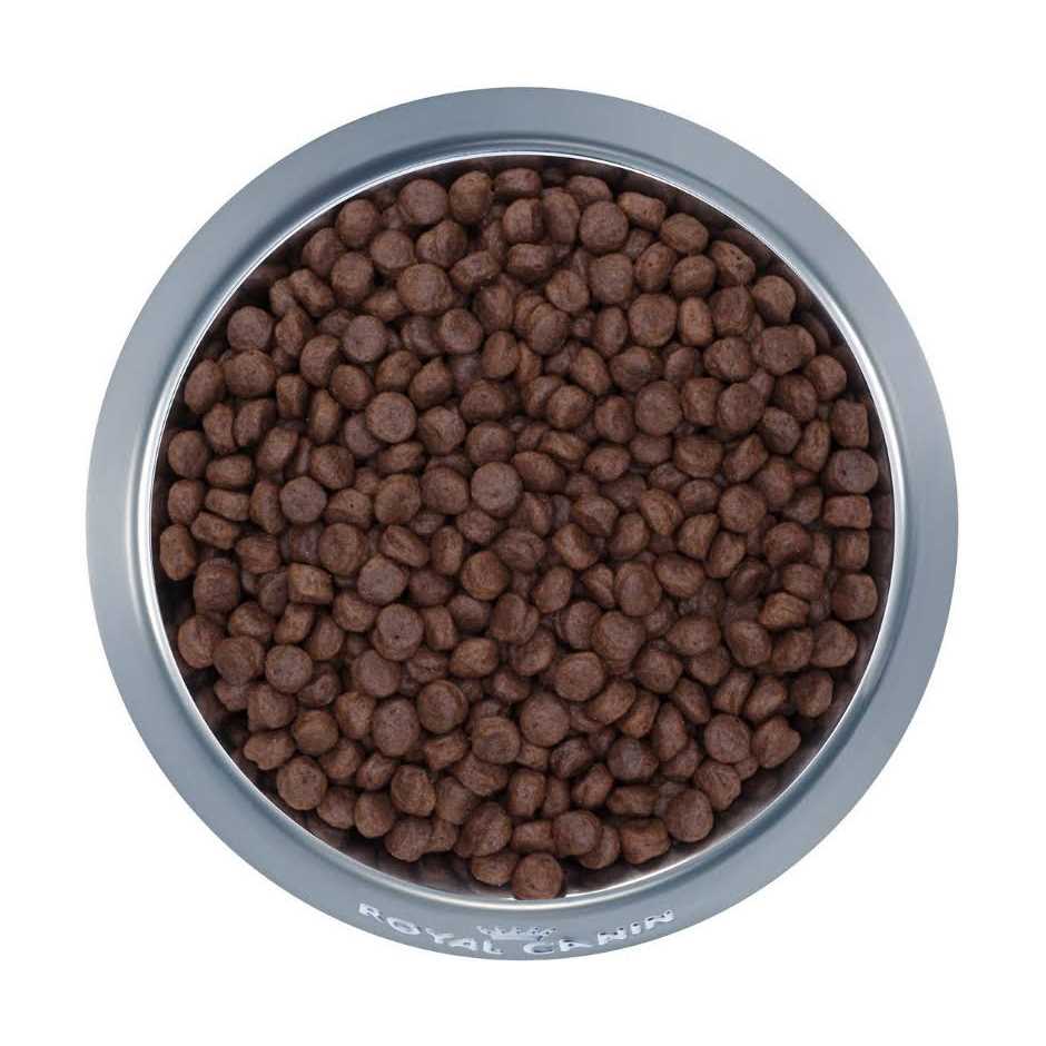 Selected Protein Adult Dry Dog Food B577
