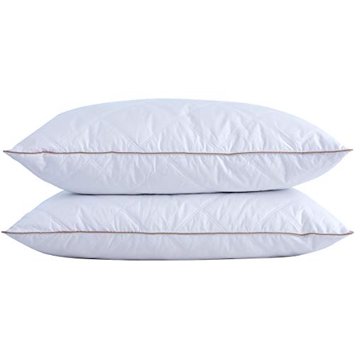 Goose Feathers and Down Pillow Set of 2 King Y9810