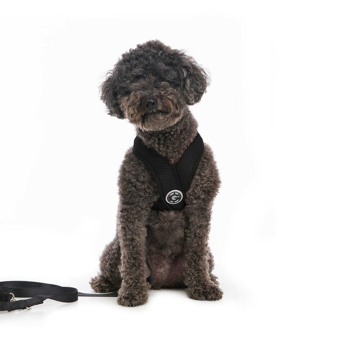 Step-In Dog Harness H3394