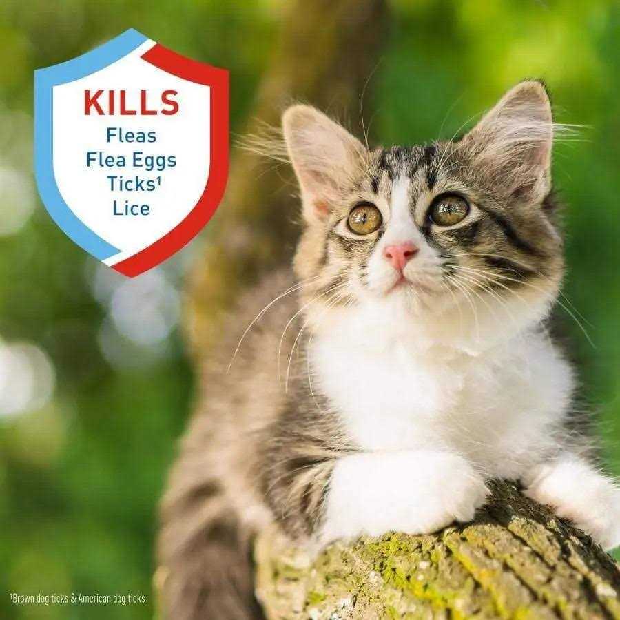 Flea Tick Shampoo G50364