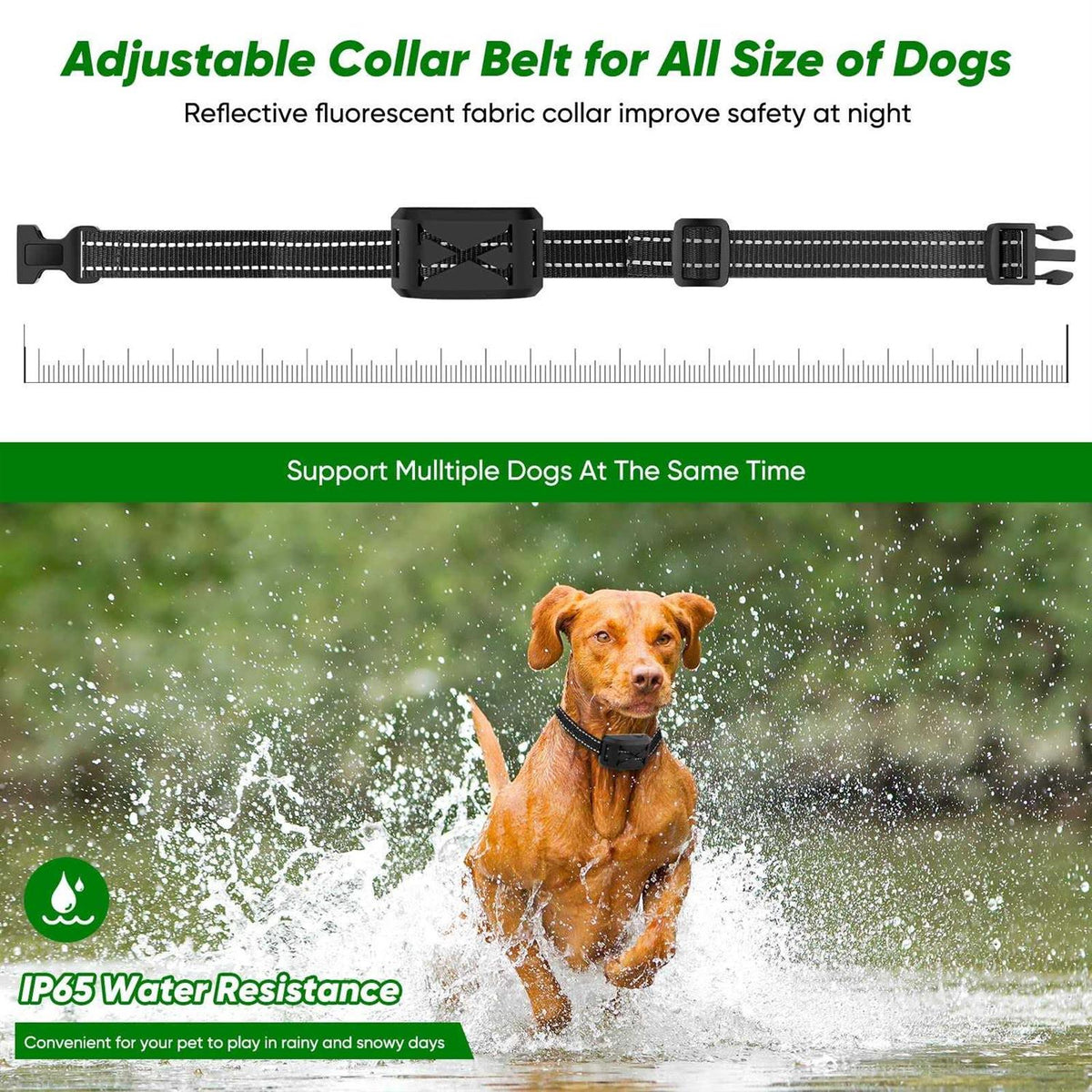 Wireless Dog Fence & Remote Training Collar N691