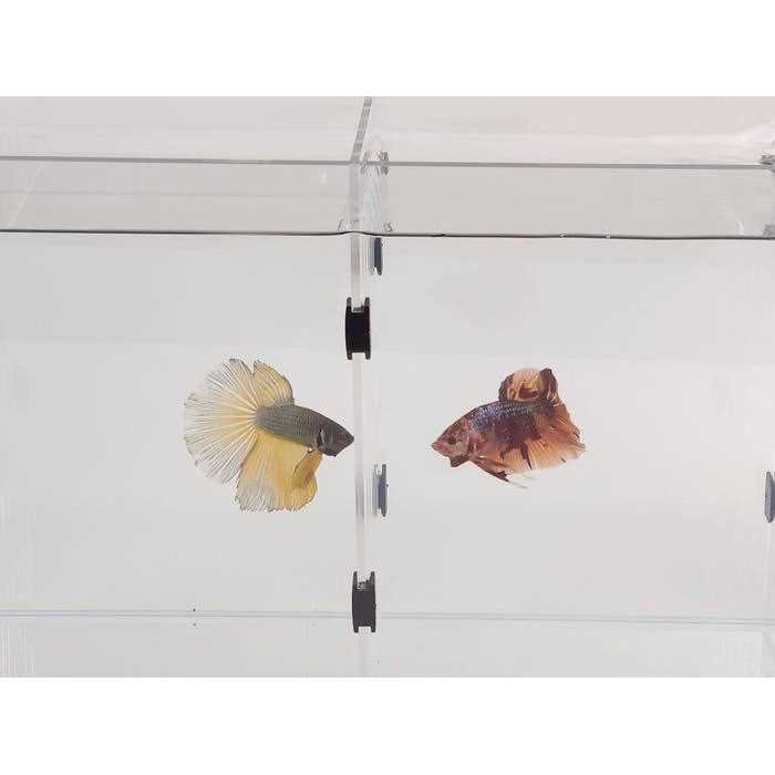 Aquarium Dividers V592829