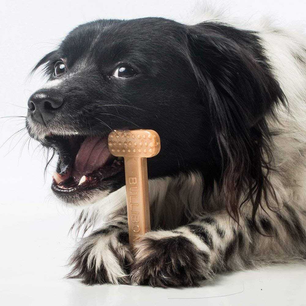 Nylon Dog Chew Toy G3800