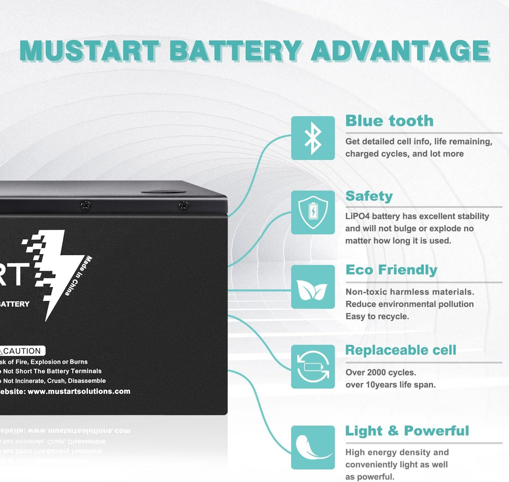 12.8V 180Ah Lithium Iron Phosphate Battery with Smart BMS J2466