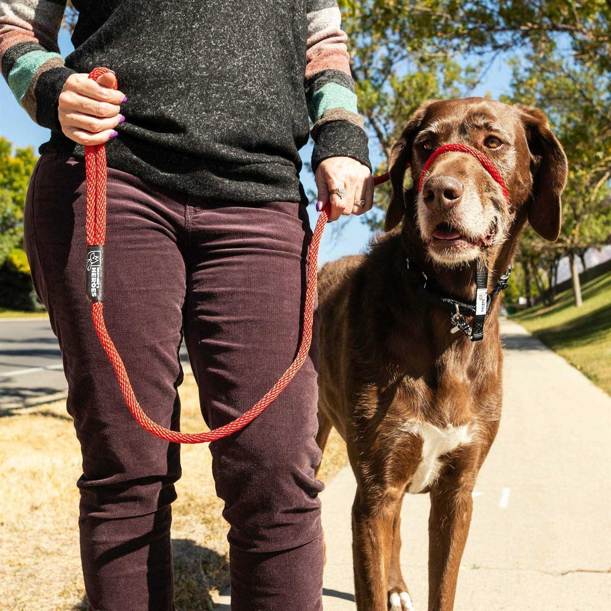 Pet Supplies S59796