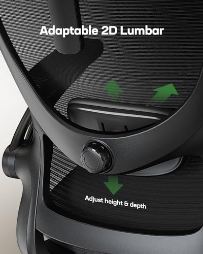 Black Ergonomic Office Chair with Lumbar Support S699922