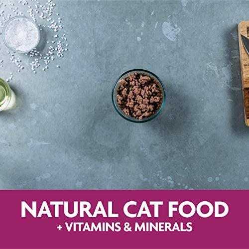 Liver Recipe Wet Cat Food V58283