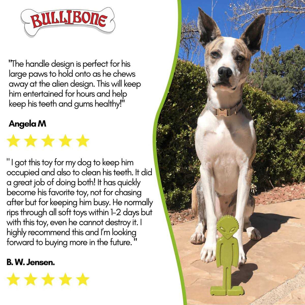 Small Alien Bone Dog Chew Toy with Easy Hold Grips V53838