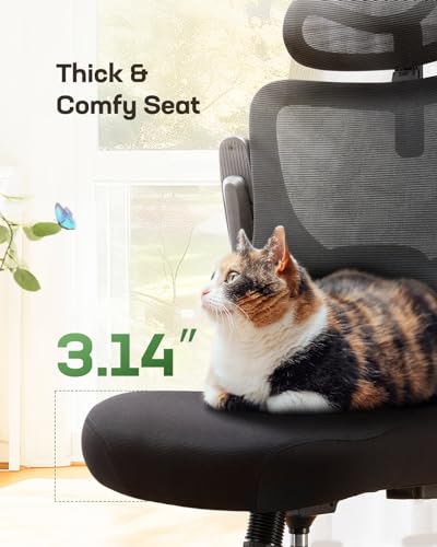 Black Ergonomic Office Chair with Lumbar Support S699922