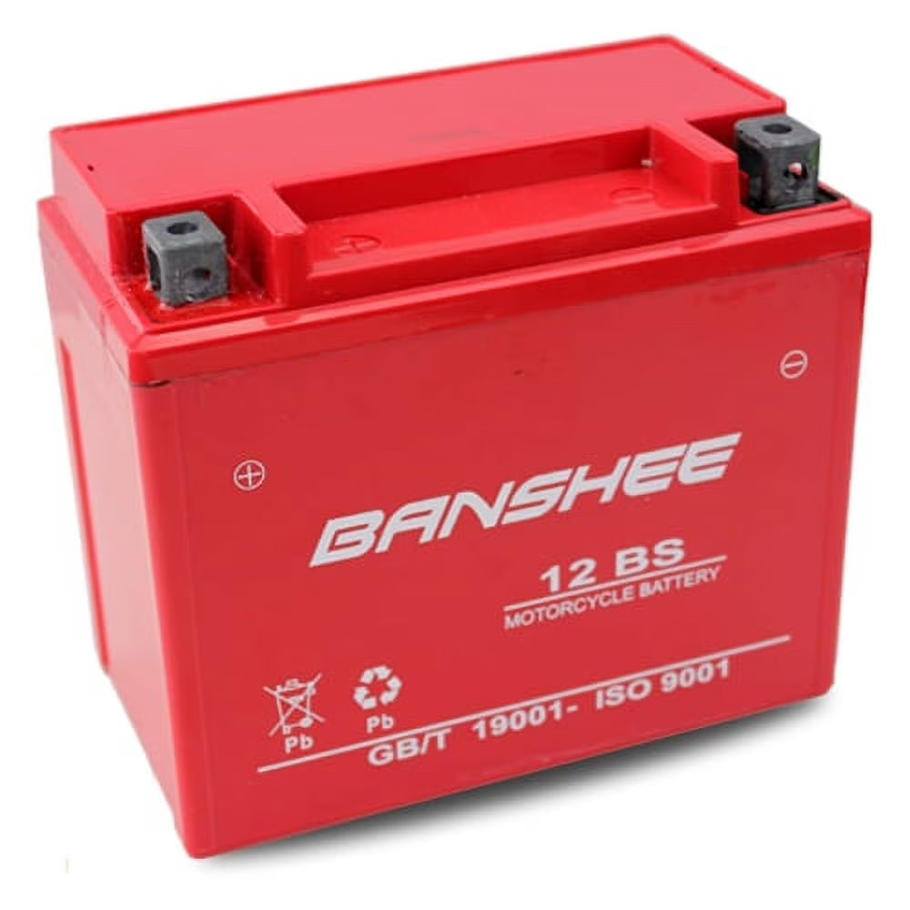 12V 12 Ah SLA AGM Battery B498