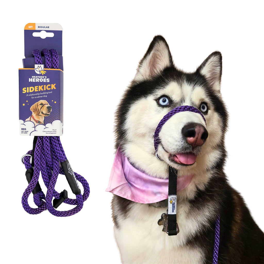 Pet Supplies S59796