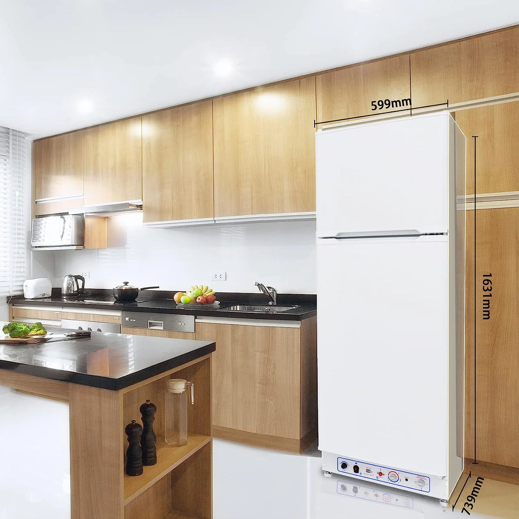 9.3 Cu ft Propane Refrigerator Gas Fridge B797801