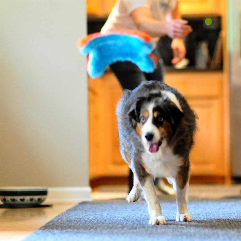 Indoor Dog Toy W7460