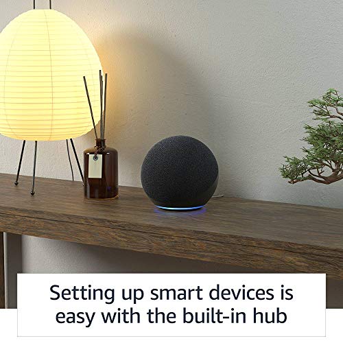 Charcoal Alexa Speaker E981