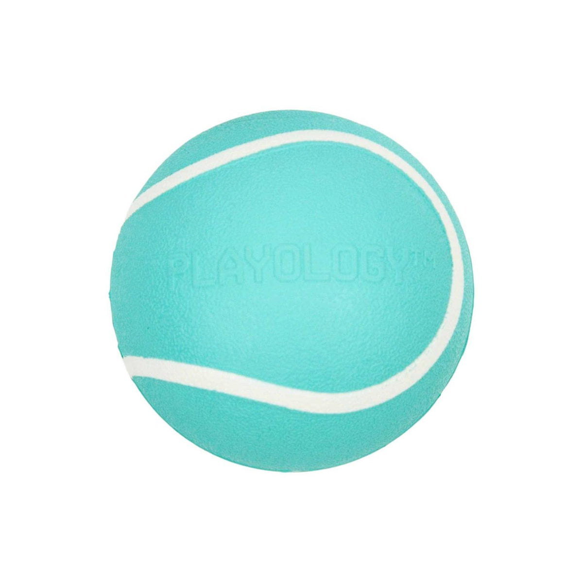 Squeaky Chew Ball Dog Toy L40370