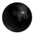 KONG Ball Dog Toy E309