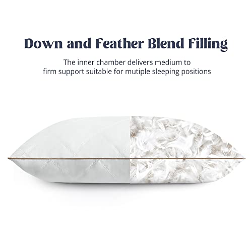 Goose Feathers and Down Pillow Set of 2 King Y9810