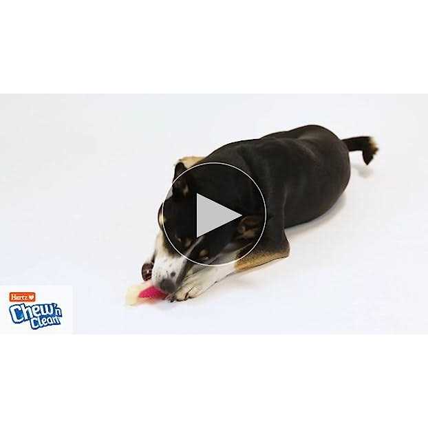 Tough Dog Chew Toy I570