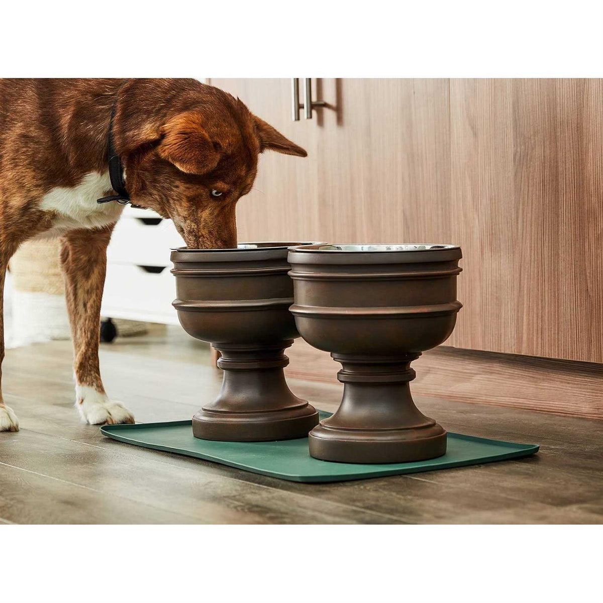 Elevated Dog Bowl K222599
