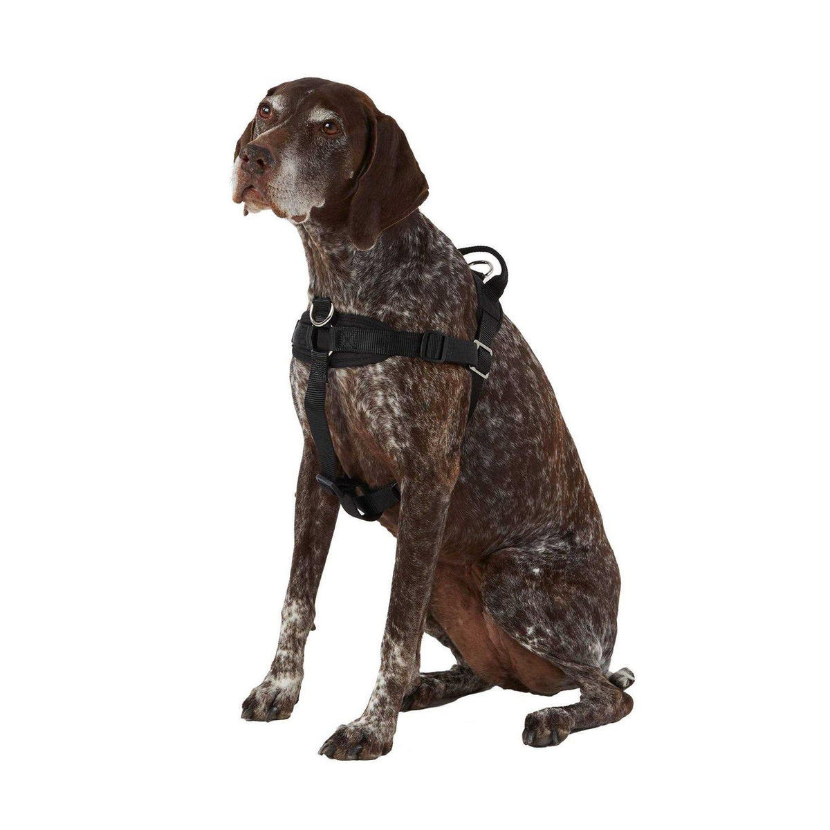 No Pull Dog Harness Q85580