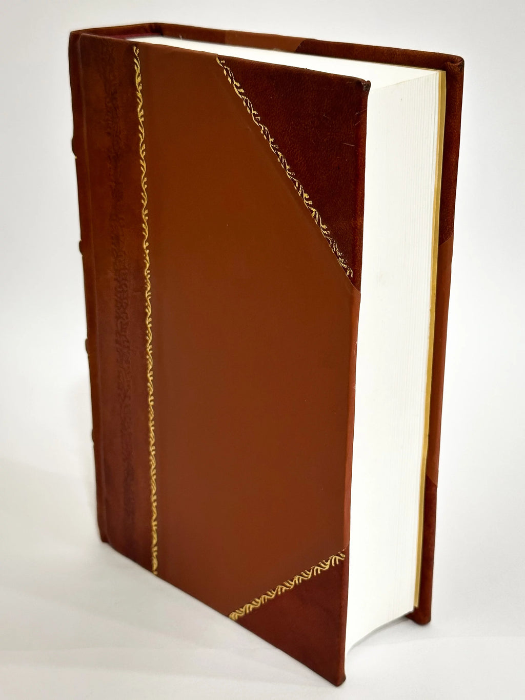 Complete Works of Charlotte Bronte and Her Sisters Volume 5 Leather Bound Y24493