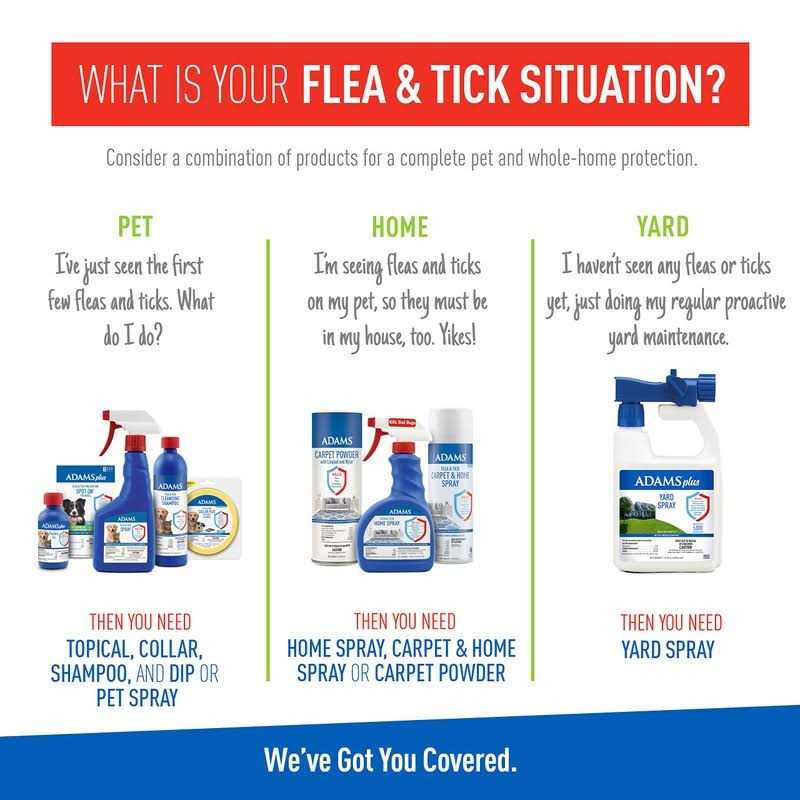 Flea Tick Shampoo G50364