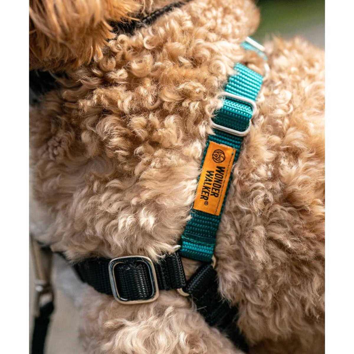 Body Halter Dog Harness R2098
