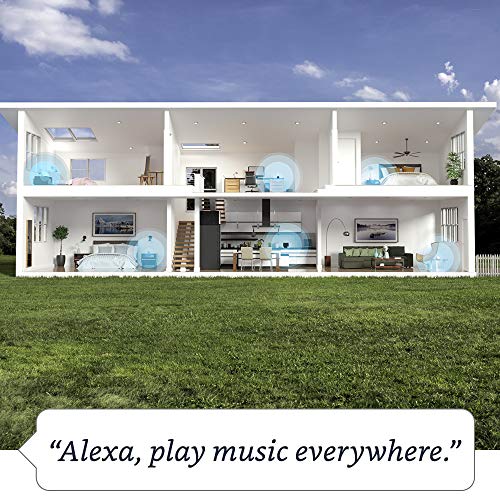 Charcoal Alexa Speaker E981