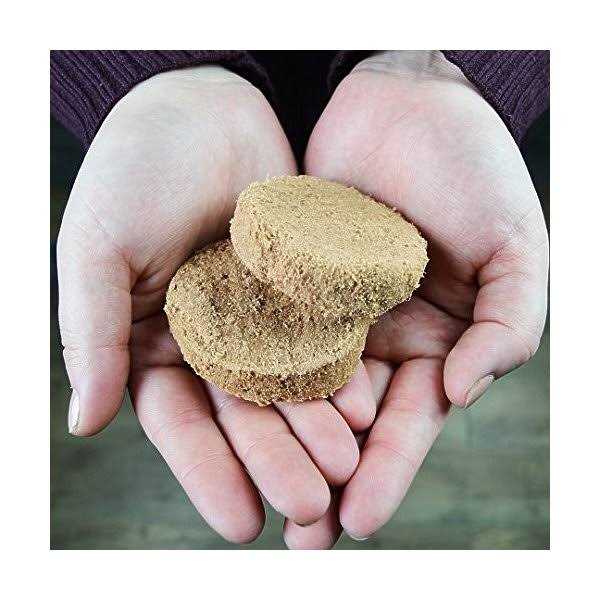 Freeze Dried Dog Food Patties J53459