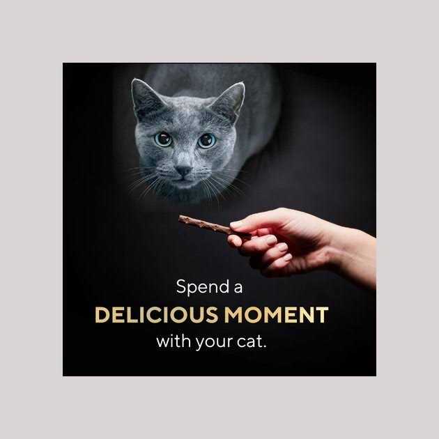 Cat Treats Meaty Tender Sticks Y904715