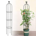White Rustproof Metal Garden Trellis N438