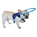 Blind Dog Harness Guiding Device Q80459