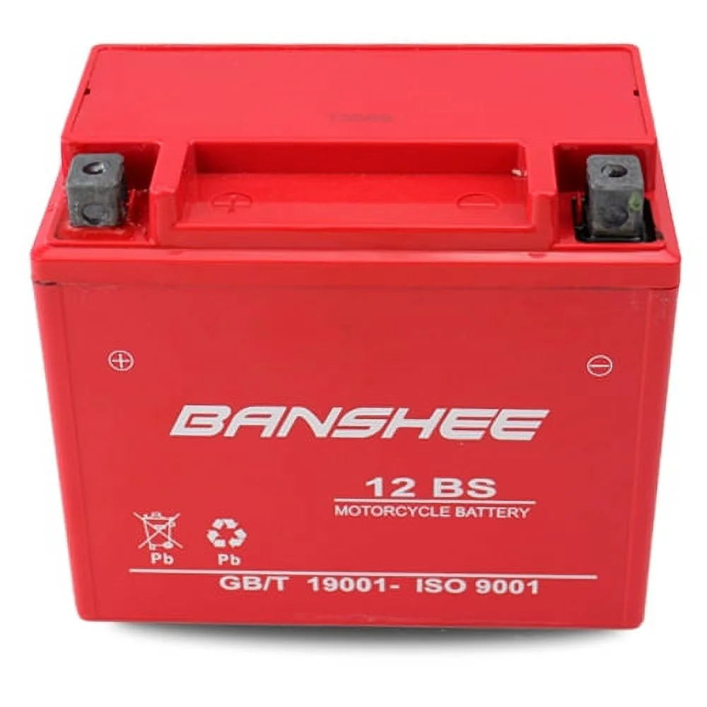 12V 12 Ah SLA AGM Battery B498