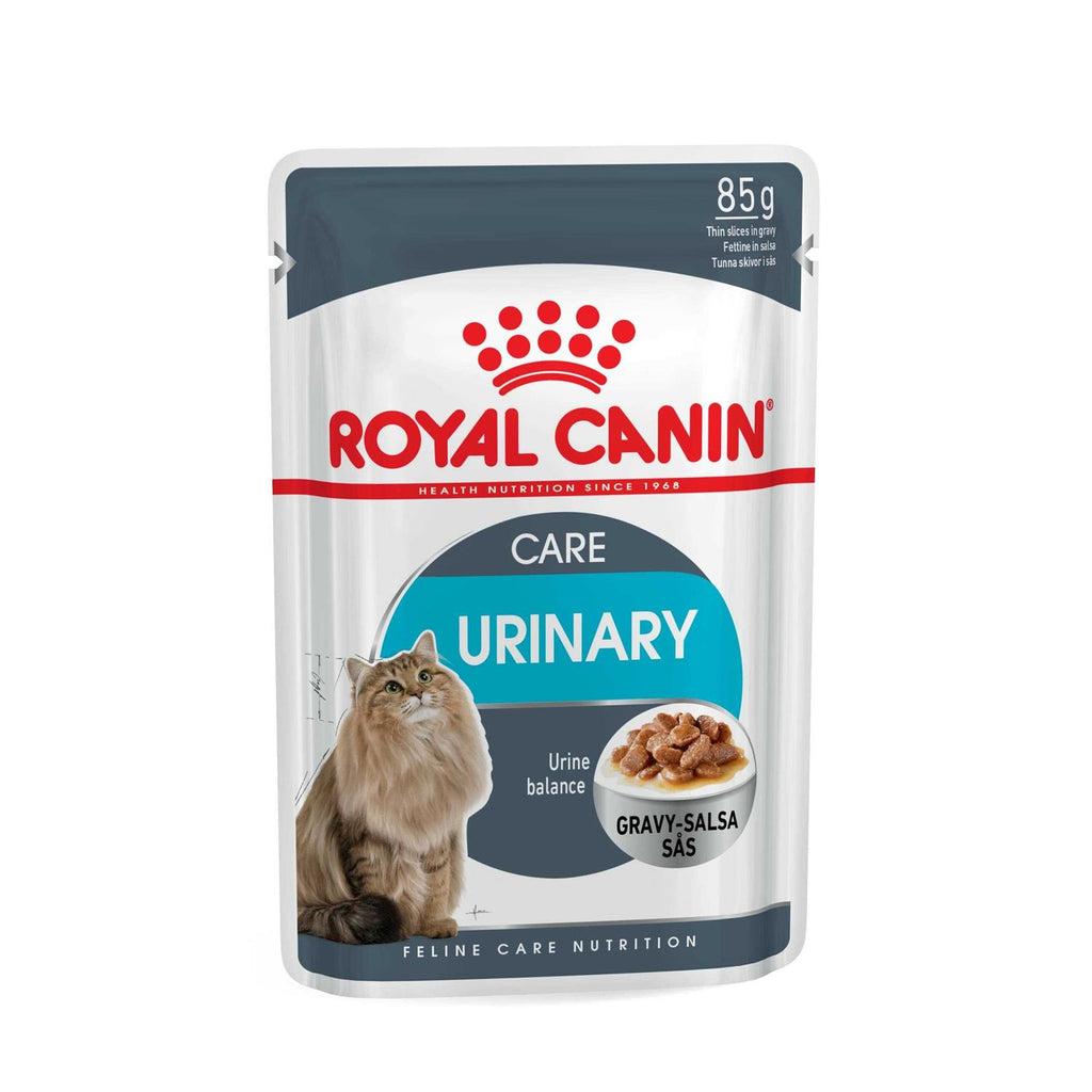 Wet Cat Food Q665