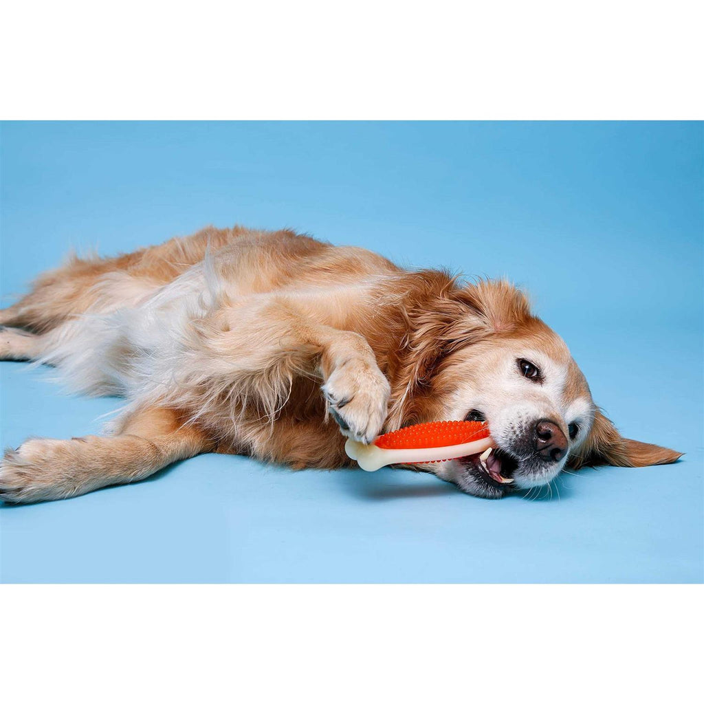 Tough Dog Chew Toy I570