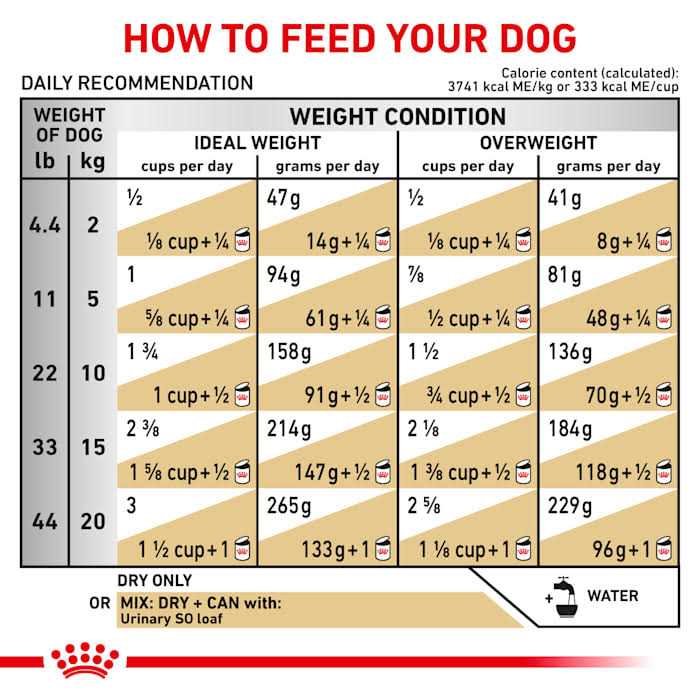 Veterinary Diet Canine Urinary SO Dry Dog Food E779