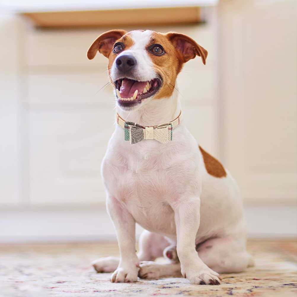 Bow Tie Dog Collar and Leash Set W16718