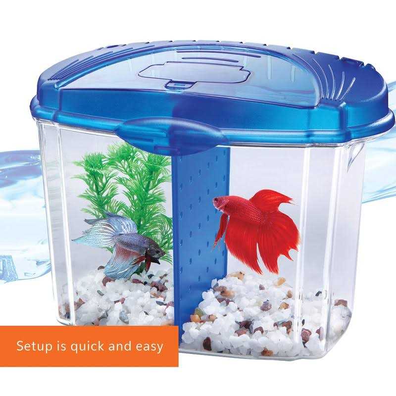 Betta Bowl Kit J46560