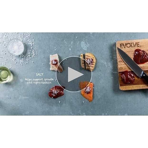 Liver Recipe Wet Cat Food V58283